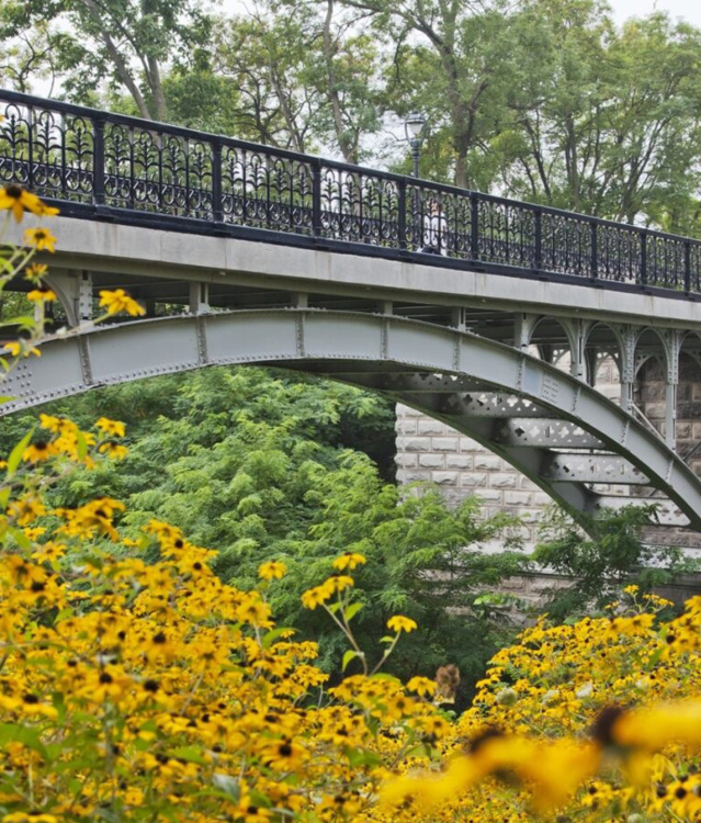 Lake Park Bridge - Flowers