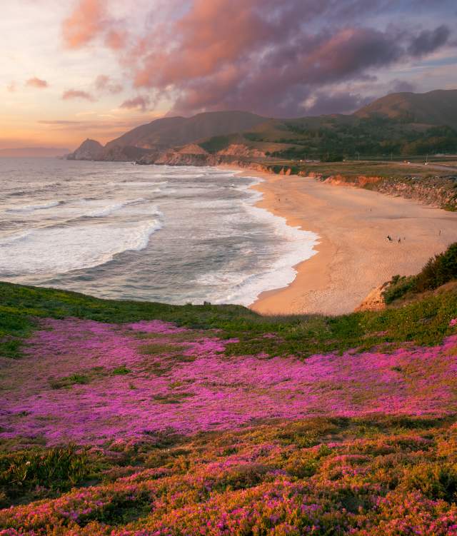 Top Beaches on The San Francisco Peninsula