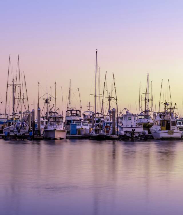 Discover Pillar Point Harbor: Coastal Eats, Craft Drinks & Hidden Gems
