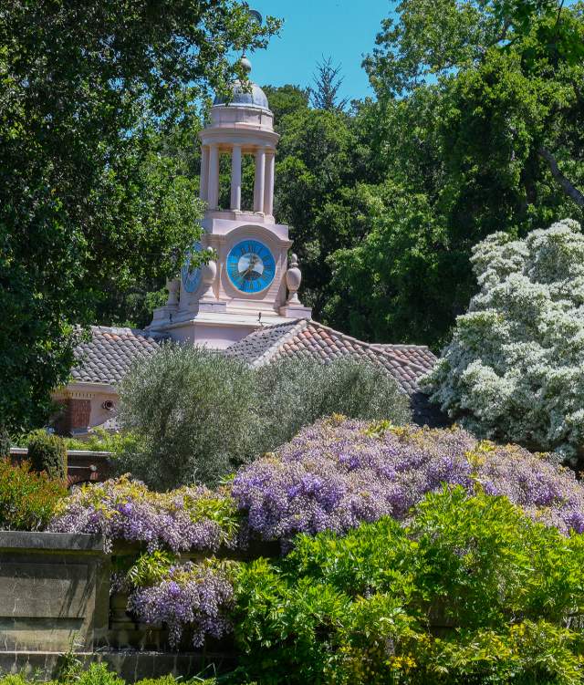 Spring Gardens on the San Francisco Peninsula