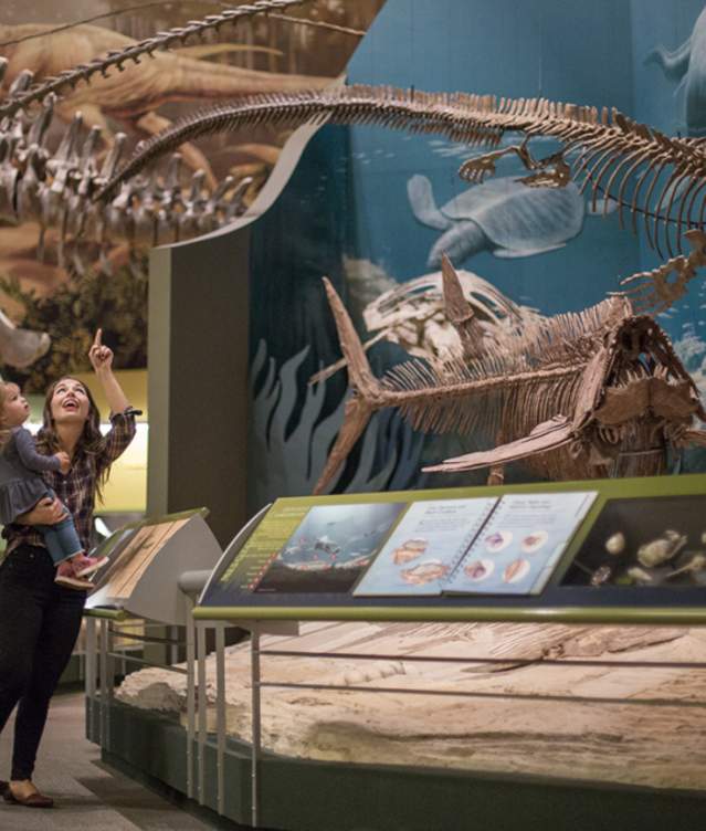 image of a family with young child pointing up to a dinosaur on display