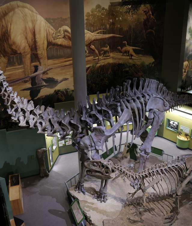 Overhead image of dinosaurs at the Sam Noble Museum