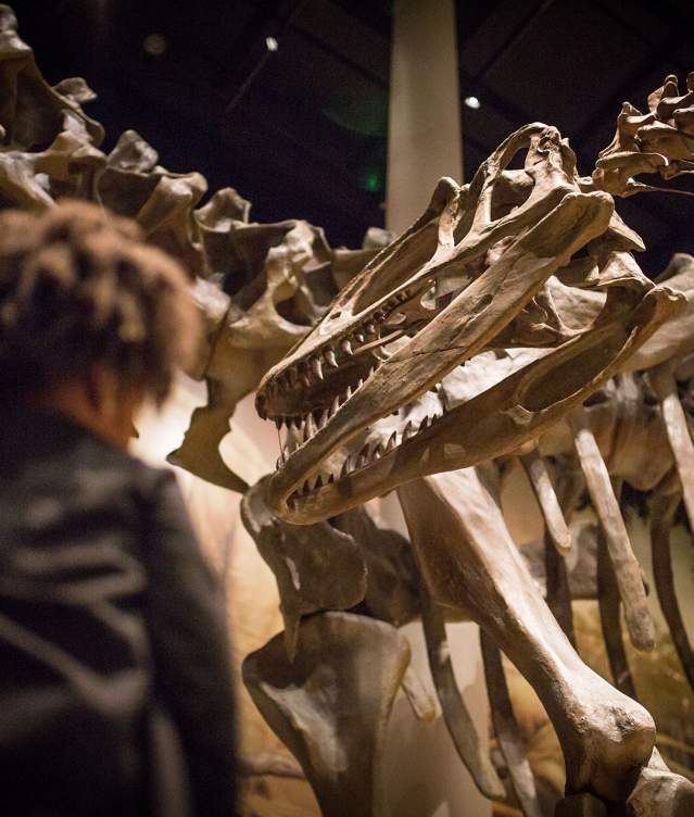 SamNobleMuseum-Exhibits