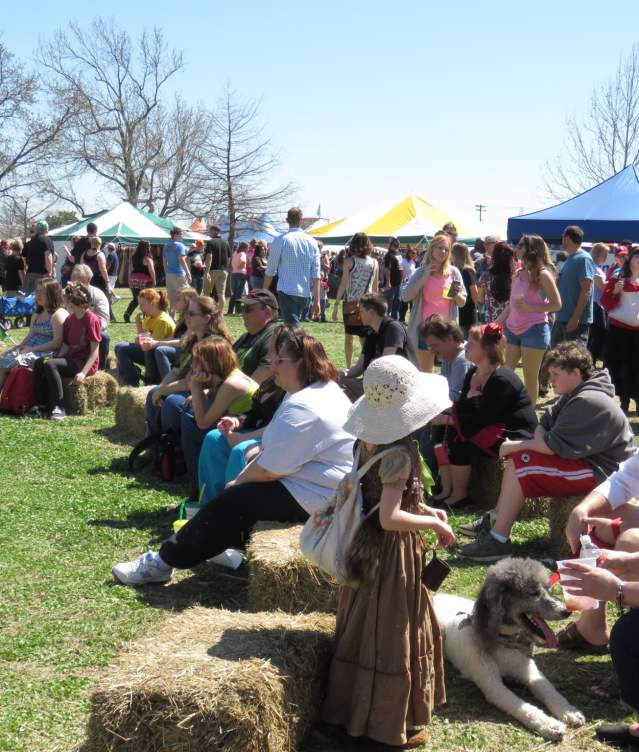 Norman Medieval Fair