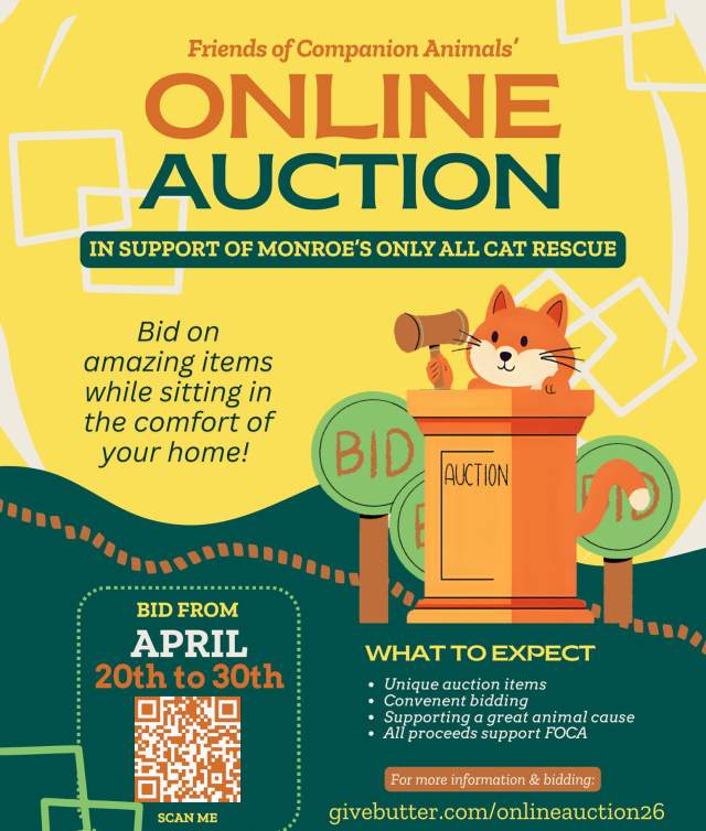 FOCA Online Auction