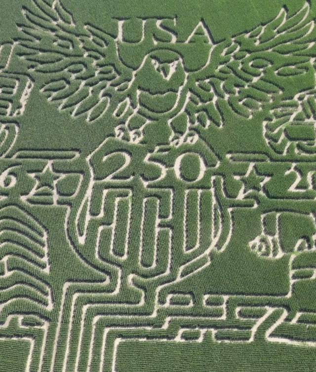 Farmer J’s World Record Cornmaze