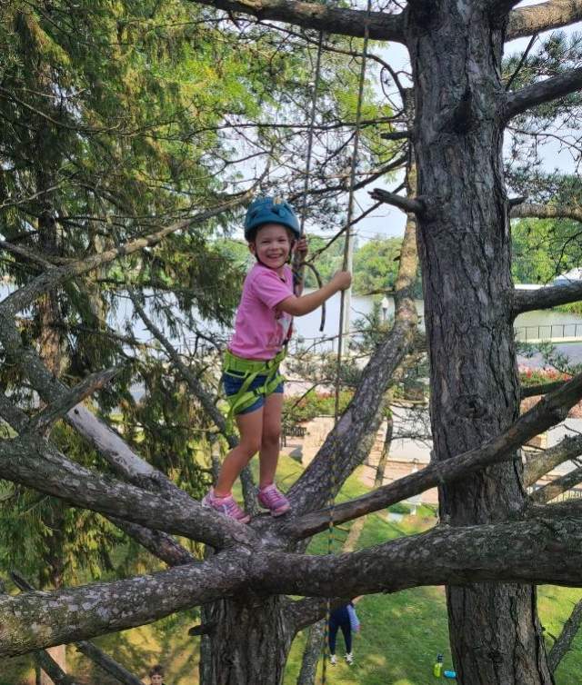 Tree Climbing at Wilson Park