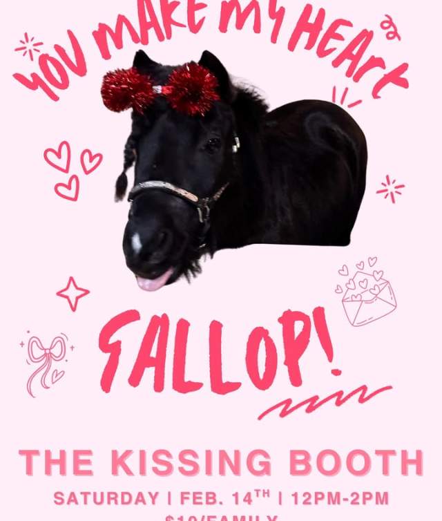 The Kissing Booth (with horses)