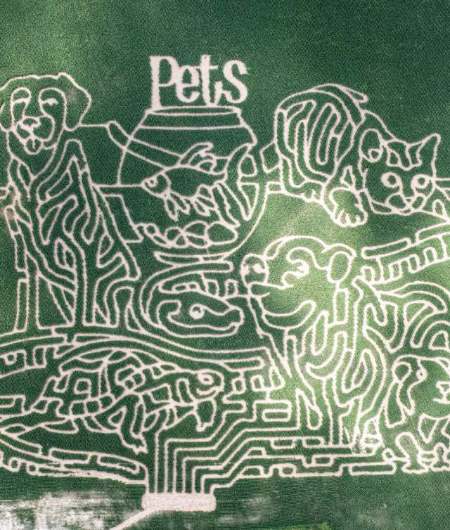 Farmer J's Corn Maze