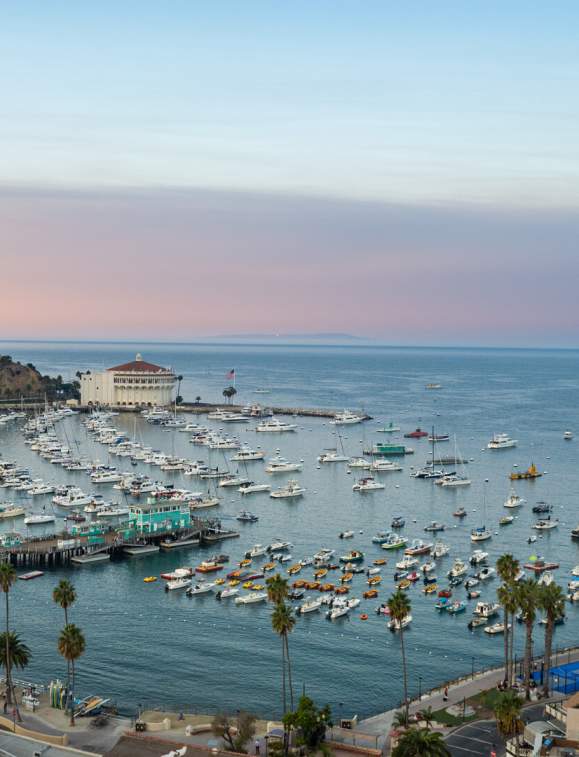 14 Best Spots to Propose on Catalina Island