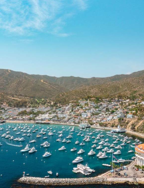 World Cup 2026 + Catalina Island Getaway