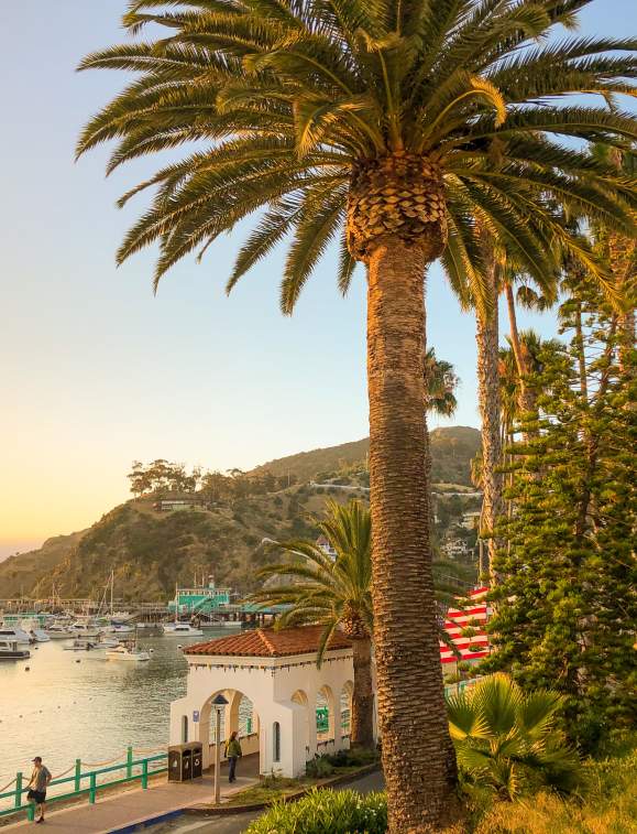 Three Nights on Catalina