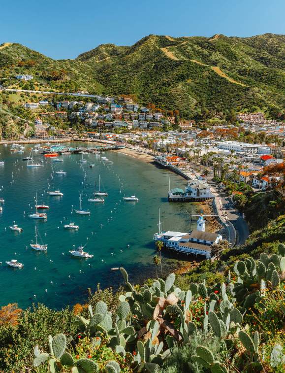 Spring Events, Tours and Adventures on Catalina