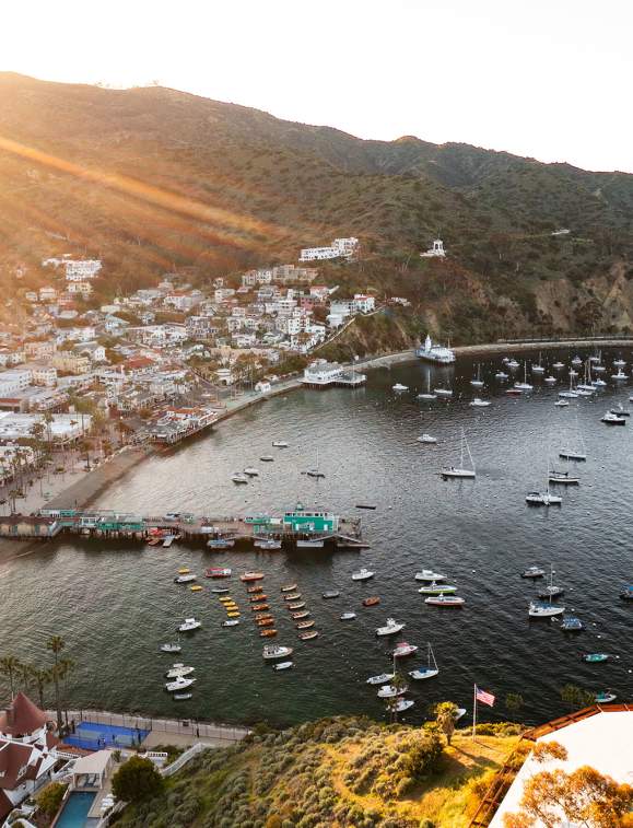 What's New for Late Summer and Fall on Catalina Island