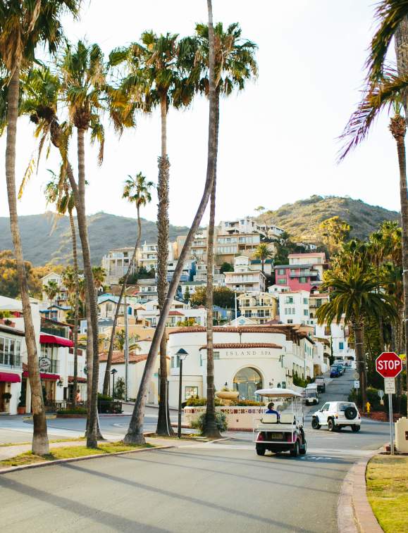 9 Reasons Why You Should Hold Your Next Meeting on Catalina Island