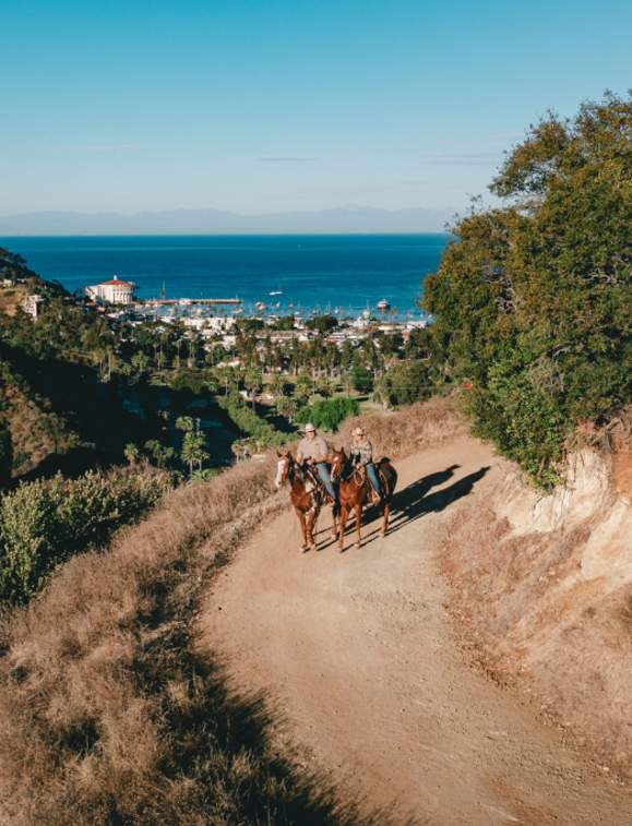 8 Reasons Families Should Choose Catalina Island for Spring Break