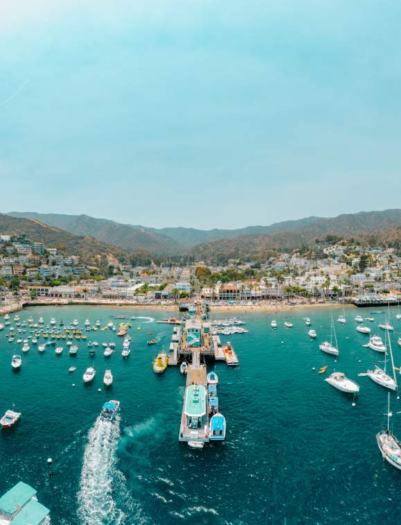 What's New for Late Summer and Fall on Catalina Island