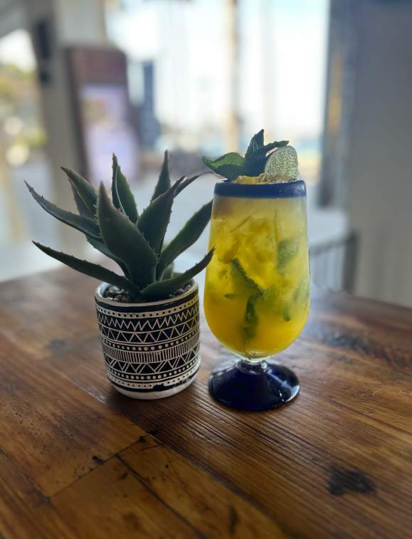 Mocktails on Catalina
