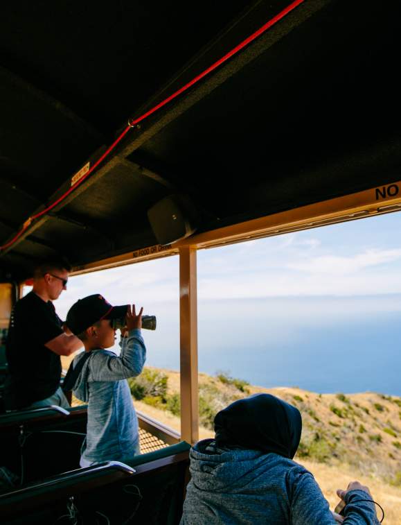 Eco Tourism & Voluntourism on Catalina