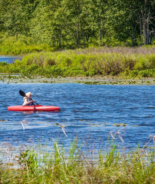 Kayaking & Canoeing