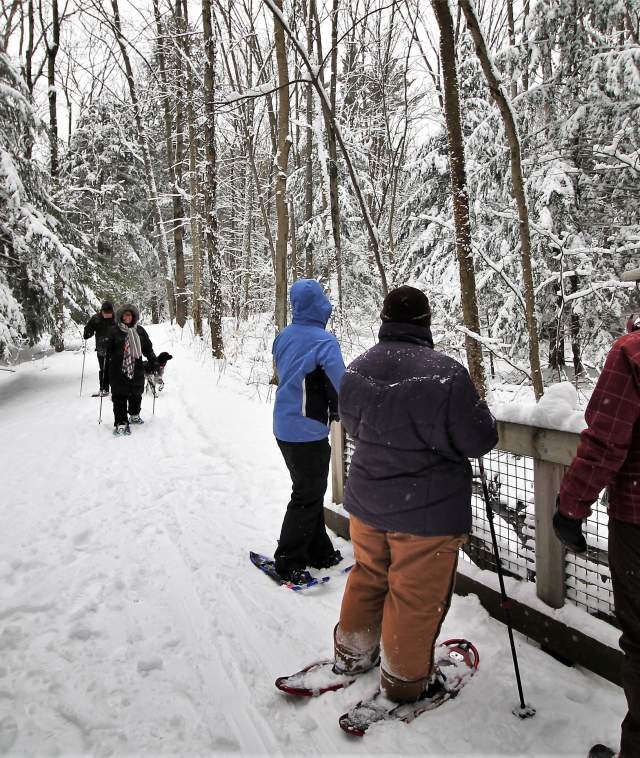 People snowshoeing in winter woods