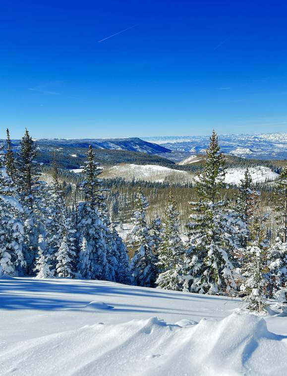 Nature's Trifecta: The Grand Mesa