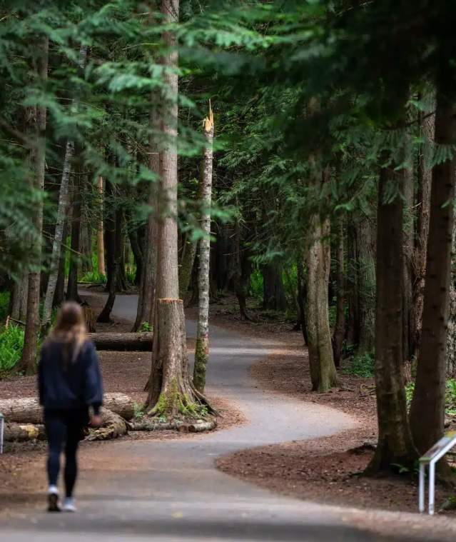 Forest-Woman-Walk-Solo-Colliery
