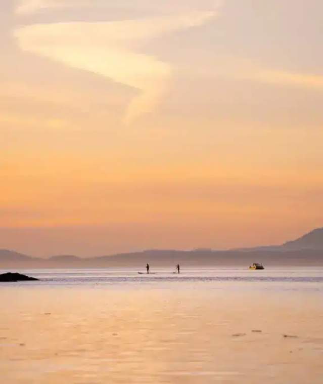 tmc03229-medium-663c1d184f684-1024x683