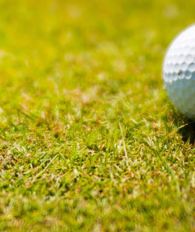 Golf Courses Near Houston  Find the Best Places for Golfing