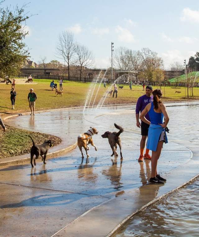 People And Dogs Playing In The Water At Johnny Steele Dog Park In Houston, TX