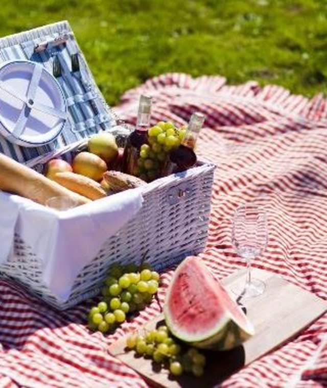 picnic stock photo
