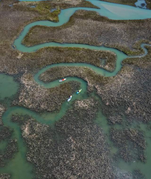Aerial view of kayakers navigating winding tidal creeks through lush salt marshes in North Myrtle Beach, South Carolina, showcasing scenic coastal wetlands and outdoor adventure.