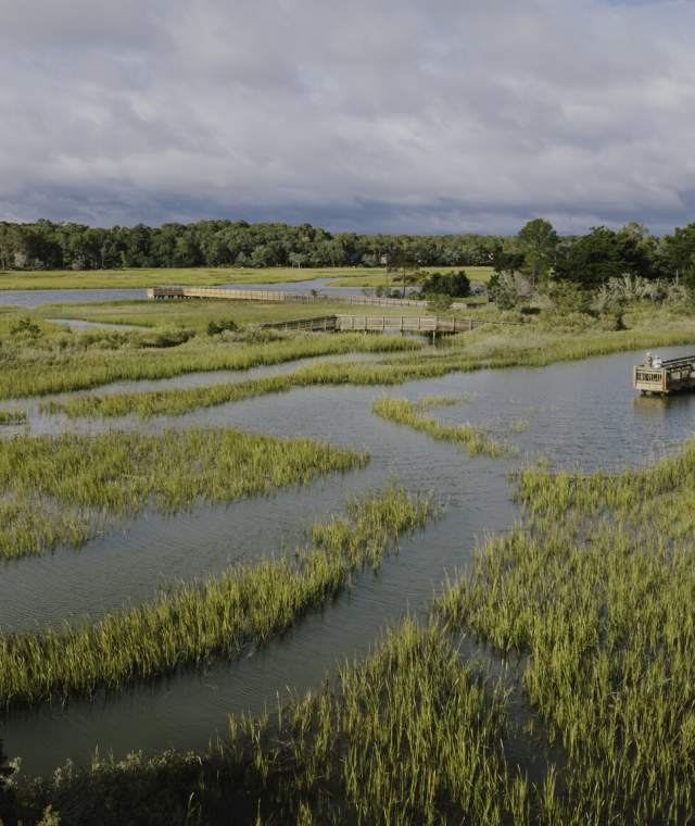 Aerial view of a peaceful salt marsh with winding tidal creeks and tall green grasses in North Myrtle Beach. Wooden boardwalks and observation decks extend over the water, allowing visitors to explore and enjoy the natural scenery. Dense trees and a few distant homes line the horizon.