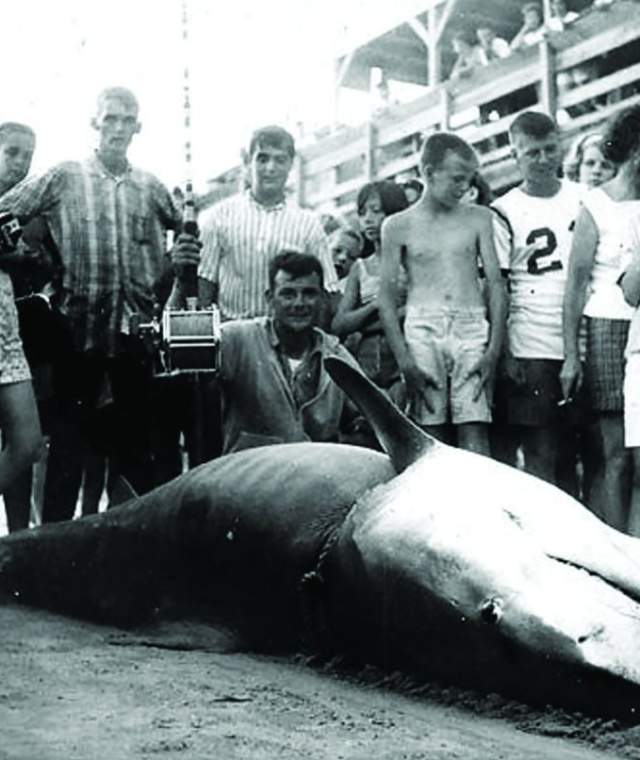 Historic Shark Photo