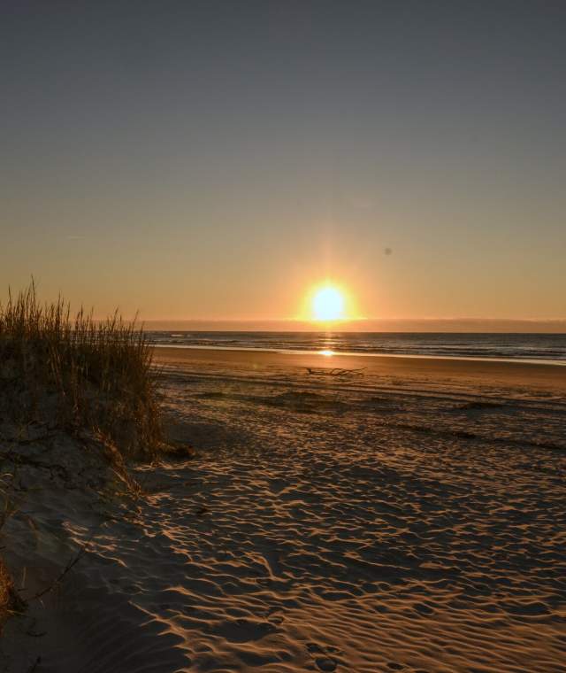Vibrant sunrise over North Myrtle Beach, South Carolina, casting a warm, golden glow across the tranquil sandy shores. The sun's rays reflect on the gentle waves, creating a picturesque coastal scene with silhouettes of sea grass and beach dunes.