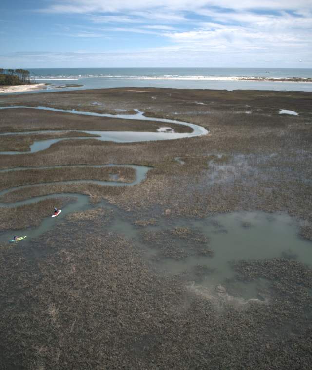 Picture of the Marsh in Cherry Grove, with the ocean in the background.