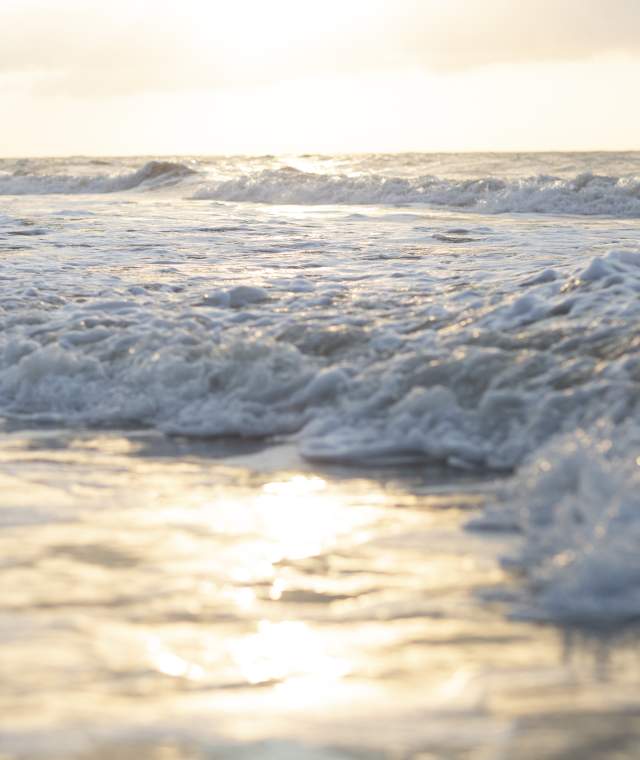 Waves