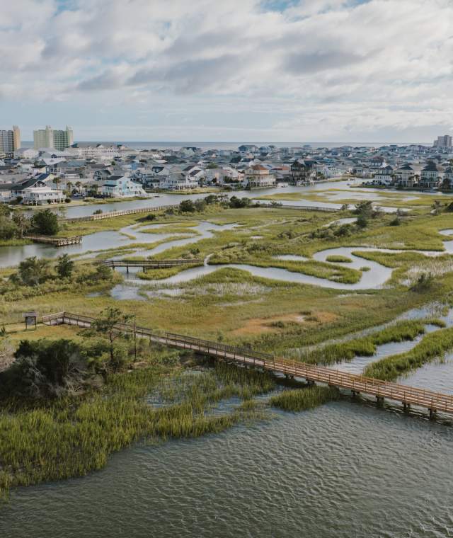 Coastal Marshes