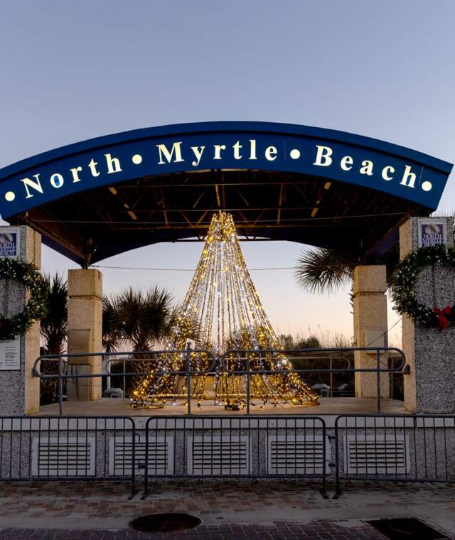 NMB Tree Horseshoe