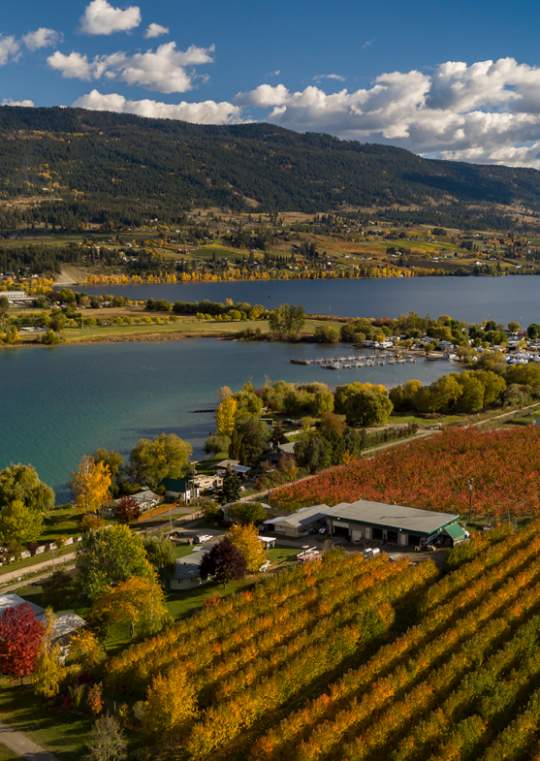 Aerial view of Oyama Lake near Lake Country, BC