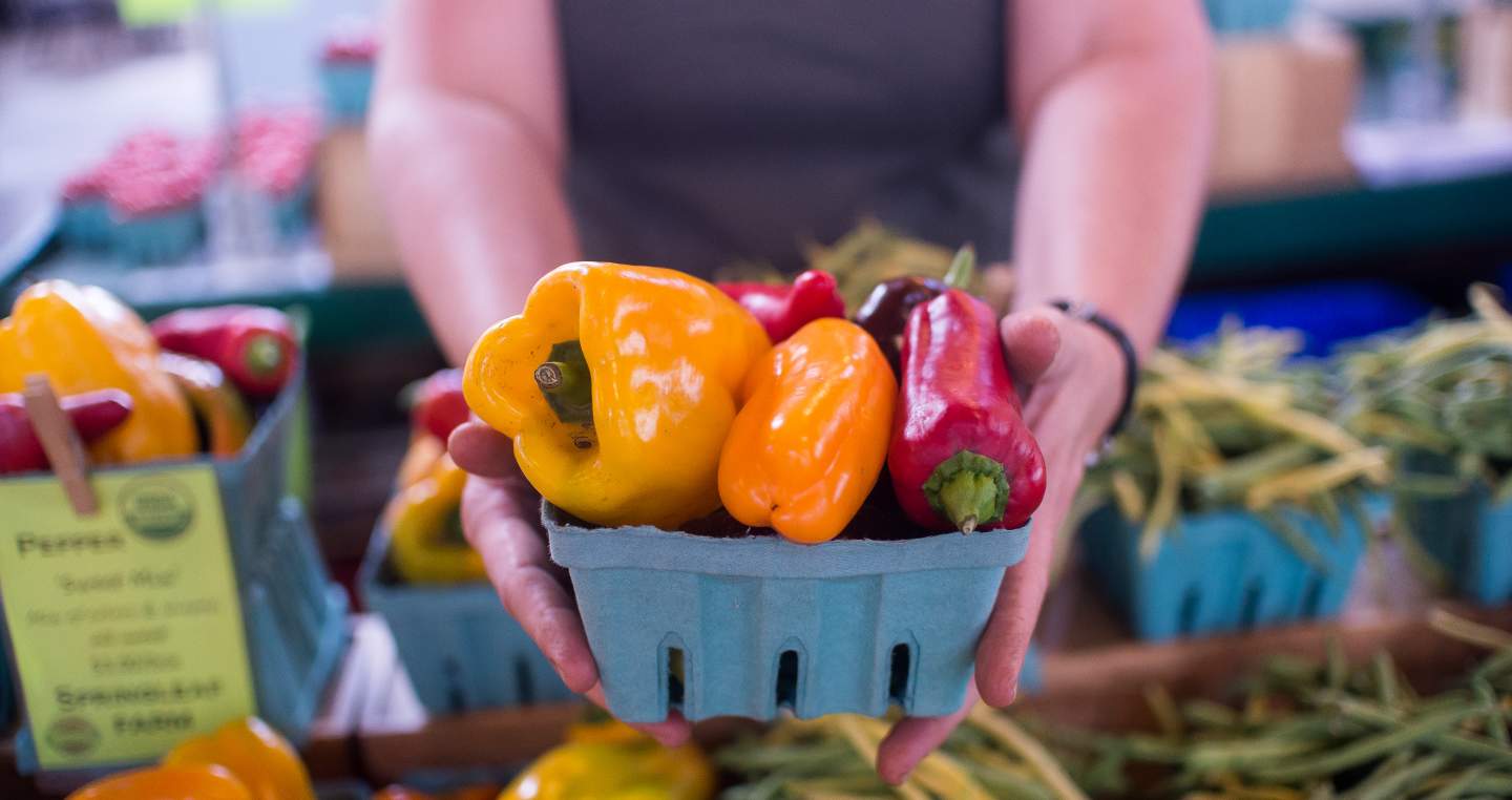 Farm fresh vegetables held in outstretched hands