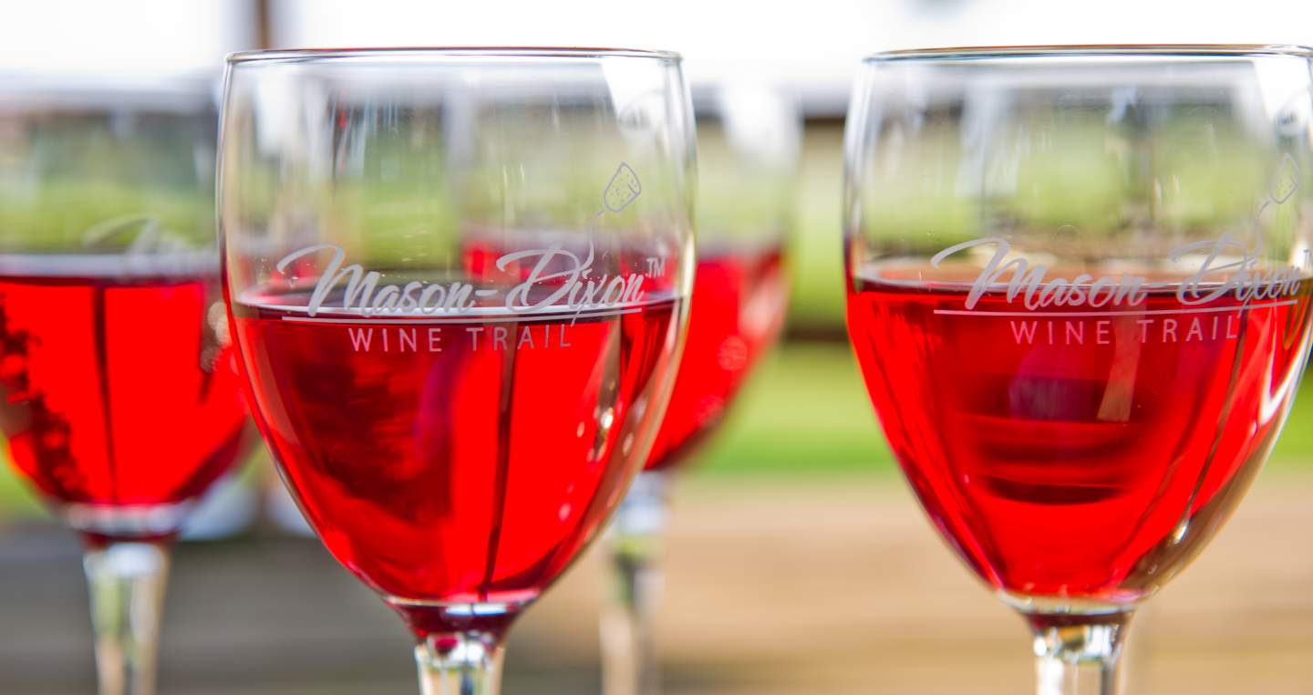 Naylor Wine Cellars 08