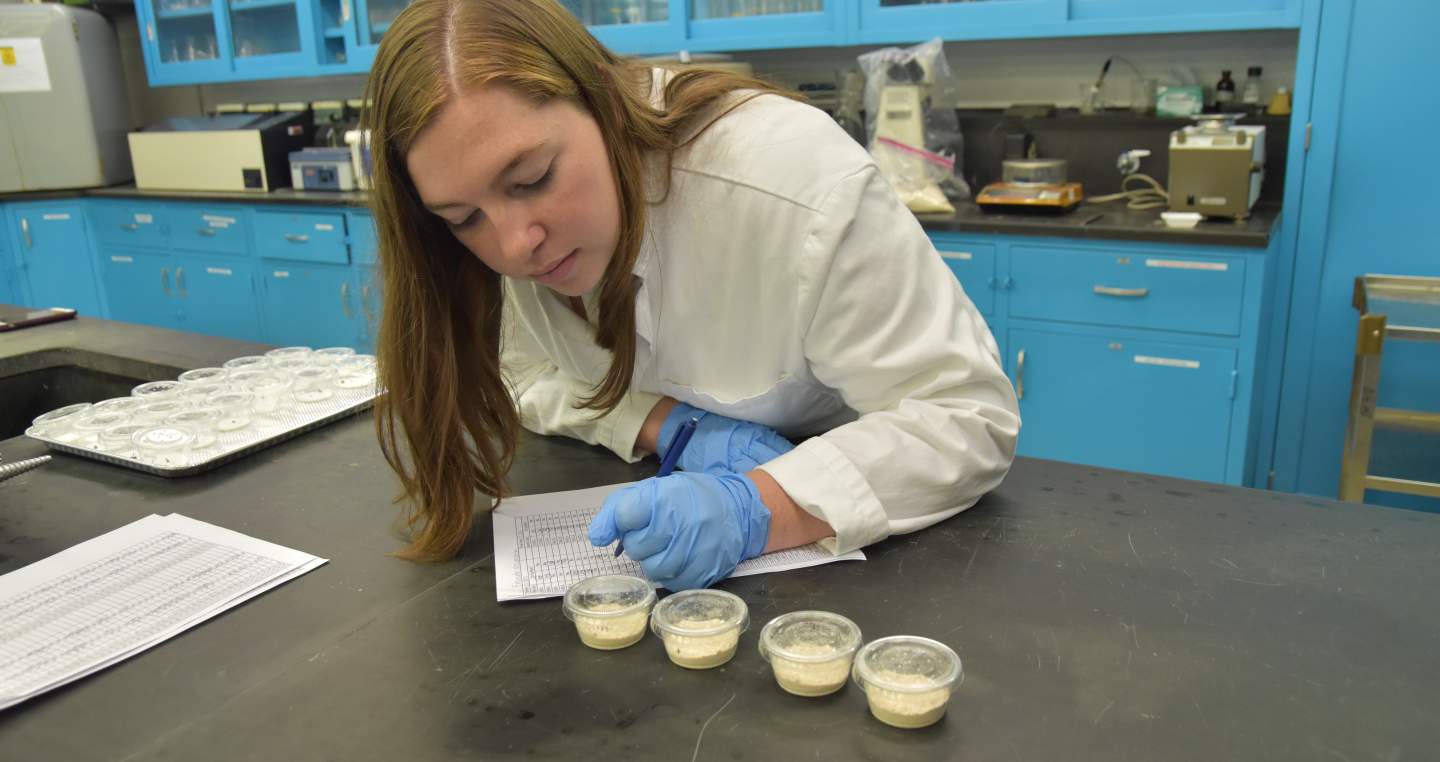 Penn State York Lab Photo 2019
