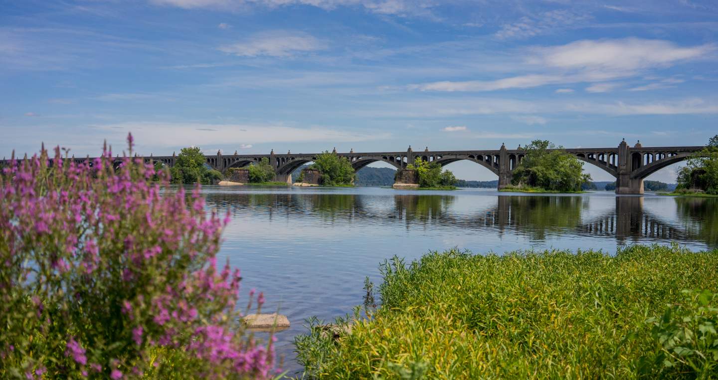 Summer 2016 Susquehanna Riverlands 06