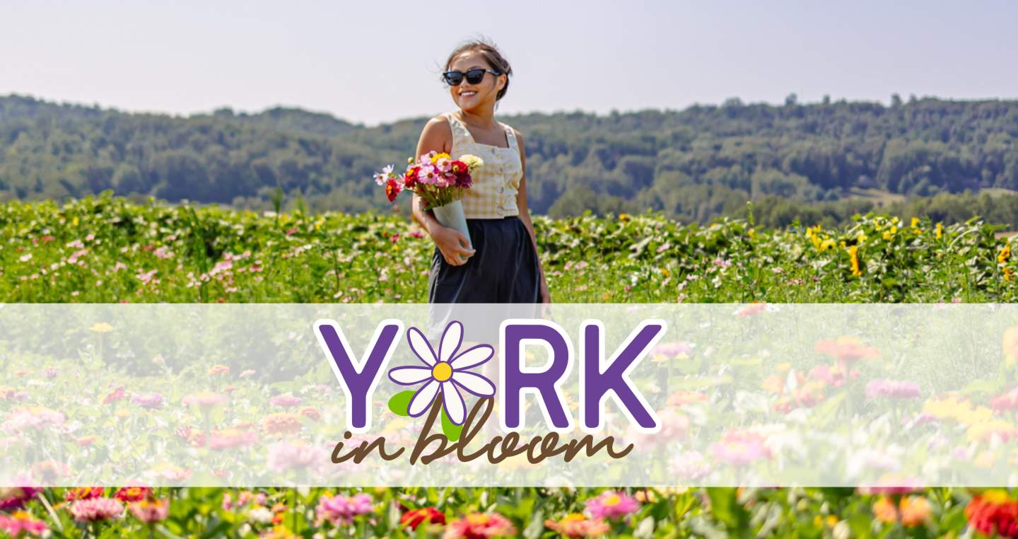 York in Bloom