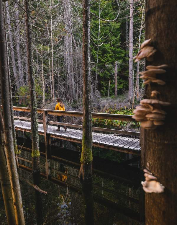 Explore the Trails: Smuggler Cove