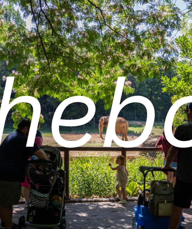 Families exploring the North Carolina Zoo