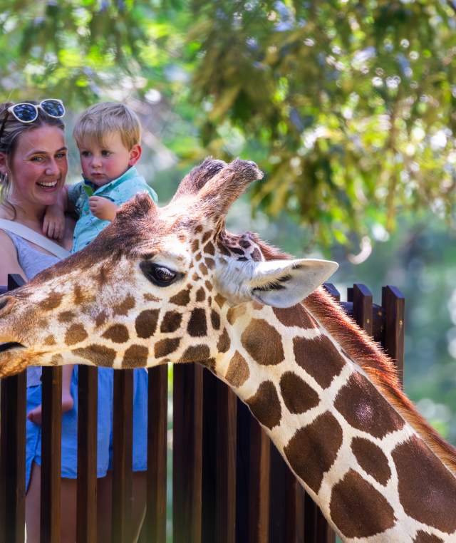 Mom and Son on the Giraffe Deck at the North Carolina Zoo