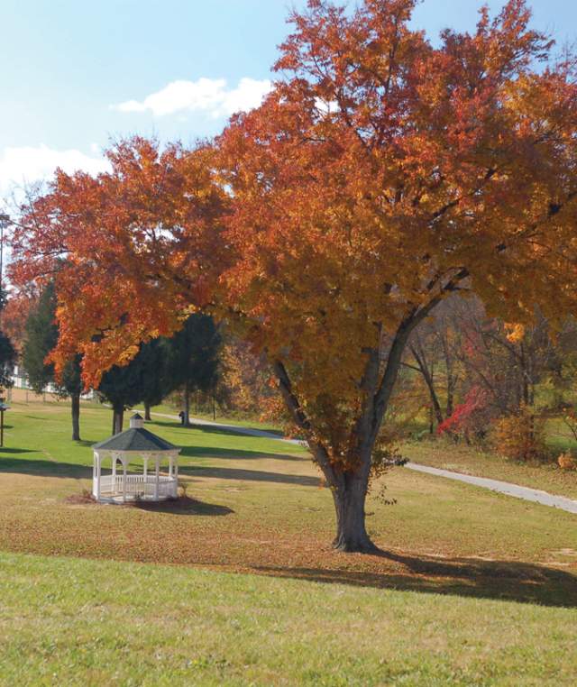 Creekside Park