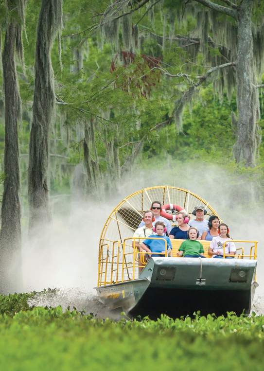 Airboat Tour